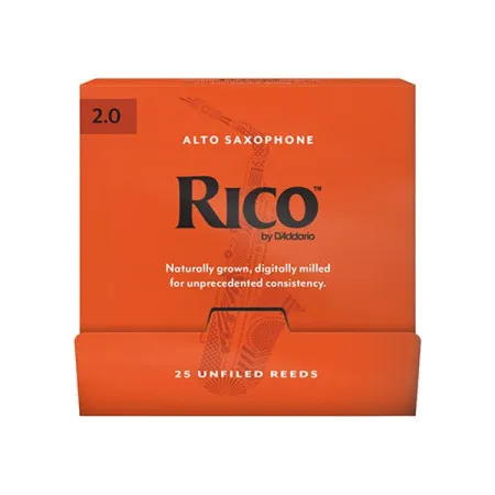 RJA0120-B25