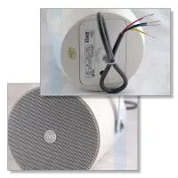 Громкоговоритель CVGaudio SPP5T