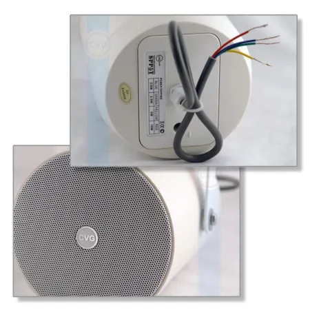 Громкоговоритель CVGaudio SPP5T