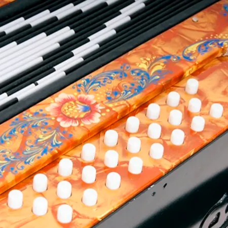 Шуйская гармонь S5XL Гармонь "Чайка-314" двухрядная 25х25-III-2