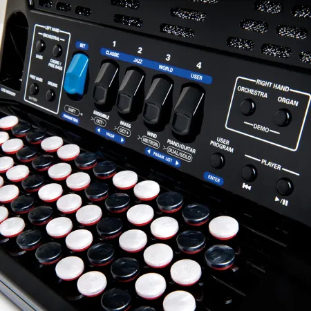 Roland FR-1XB BK