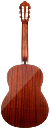 Cort AC100DX YT