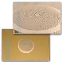 Громкоговоритель CVGaudio CPA6T