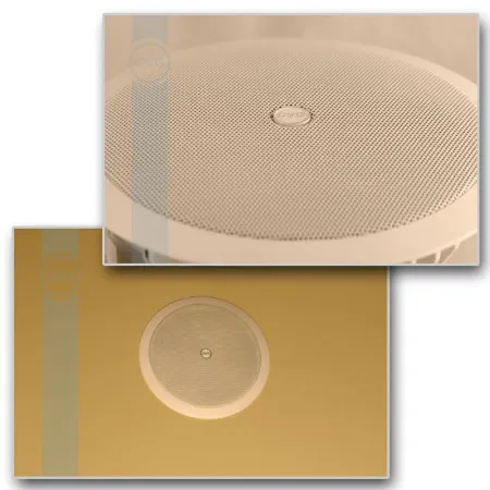 Громкоговоритель CVGaudio CPA6T