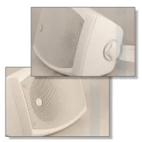 Громкоговоритель CVGaudio ODF408TW