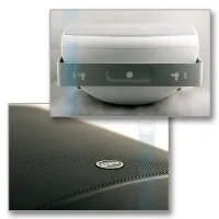 Громкоговоритель CVGaudio SF616TBL