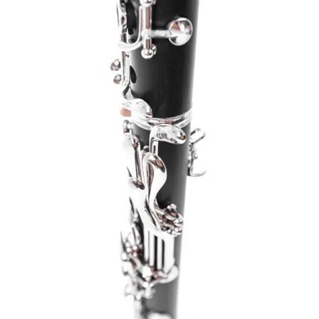 VIVOTON Standart+ Кларнет ученический Bb (Си-бемоль), в футляре, с аксессуарами в комплекте