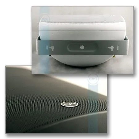 Громкоговоритель CVGaudio SF616TBL