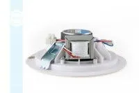 Громкоговоритель CVGaudio CPA5T