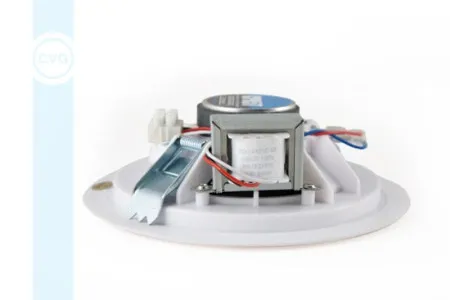 Громкоговоритель CVGaudio CPA5T