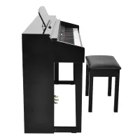 DP-150e Black Polish DP-150e Black Polish