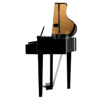 Kawai DG30EP Рояль цифровой с банкеткой, 88 клавиш, чёрное дерево, полированный Kawai DG30EP Рояль цифровой с банкеткой, 88 клавиш, чёрное дерево, полированный