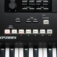 Kurzweil KP300X LB Синтезатор, 76 клавиш, полифония 128, цвет чёрный Kurzweil KP300X LB Синтезатор, 76 клавиш, полифония 128, цвет чёрный