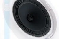 Громкоговоритель CVGaudio CPA5T