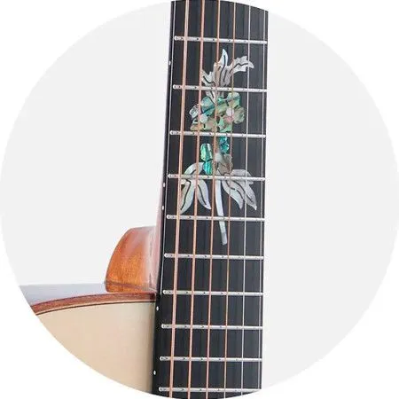 Meridaextrema A18GAC 1 Гитара акустическая с чехлом