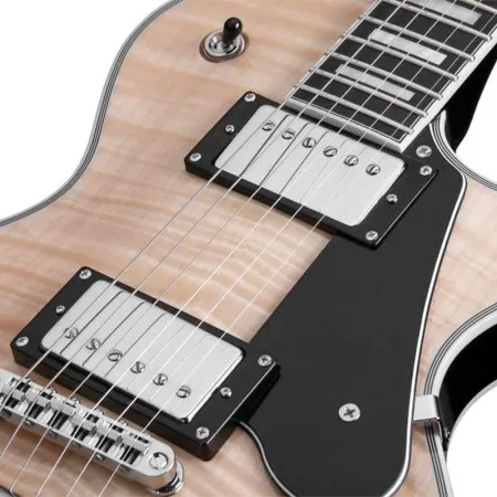 SCHECTER SOLO-II CUSTOM GNAT/BLK Электрогитара, цвет натуральный с черным