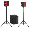 ECO FLAMENCO set Звукоусилительный комплект, 900 Вт ( RMS) 