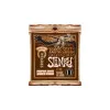 Набор струн для 6-струнной акустической гитары Ernie Ball P03146