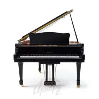 Н.Рубинштейн НР-160 Рояль кабинетный, чёрный Н.Рубинштейн НР-160 Рояль кабинетный, чёрный