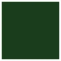 ROSCO SUPERGEL №090 Dark Yellow Green - Светофильтр пленочный желто-зеленый темный (лист 50х61см) ROSCO SUPERGEL №090 Dark Yellow Green - Светофильтр пленочный желто-зеленый темный (лист 50х61см)