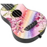 FLIGHT TUS ALYONA SHVETZ