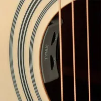 Tyma TG-1E Гитара электроакустическая Dreadnought с чехлом