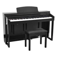 DP-150e Black Polish DP-150e Black Polish