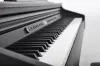 Artesia DP-3 Satin