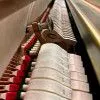 Ritmuller UP121RB(A112) Пианино акустическое, полированное, цвет белый