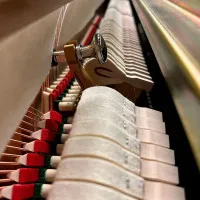 Ritmuller UP121RB(A112) Пианино акустическое, полированное, цвет белый Ritmuller UP121RB(A112) Пианино акустическое, полированное, цвет белый