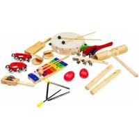 FLIGHT FPS-12 Набор шумовых инструментов в сумке (12 предметов)