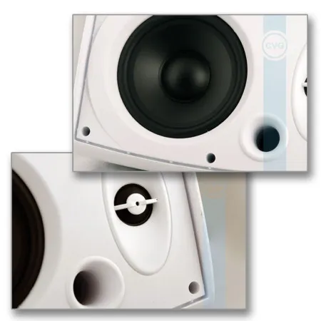Громкоговоритель CVGaudio SF516TW