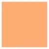 ROSCO SUPERGEL №303 Warm Peach - Светофильтр пленочный цвет персиковый (лист 50х61см)