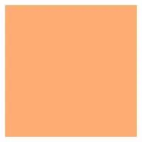 ROSCO SUPERGEL №303 Warm Peach - Светофильтр пленочный цвет персиковый (лист 50х61см) ROSCO SUPERGEL №303 Warm Peach - Светофильтр пленочный цвет персиковый (лист 50х61см)
