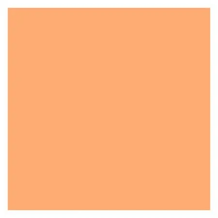 ROSCO SUPERGEL №303 Warm Peach - Светофильтр пленочный цвет персиковый (лист 50х61см)