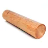 Fleet XS-1