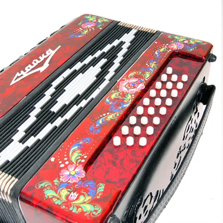 Шуйская гармонь S5XL Гармонь "Чайка-314" двухрядная 25х25-III-2