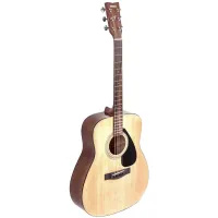 Yamaha F310 EX (India)