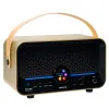 Mooer F15i Li Gold Комбоусилитель портативный, 15 Вт, цвет золотой