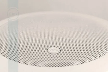 Громкоговоритель CVGaudio CRX5T