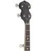 STAGG BJM30 DL Банджо  5-струнное