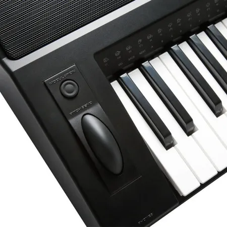 Kurzweil KP200 LB Синтезатор, 61 клавиша, полифония 128, цвет чёрный