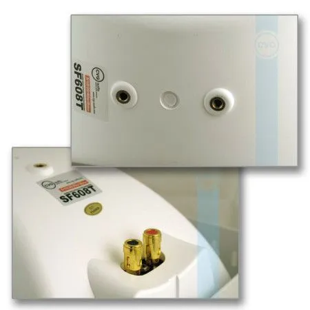 Громкоговоритель CVGaudio SF616TBL