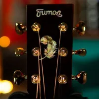 Trumon WING 950TF-S3 Гитара трансакустическая 41" Grand Auditorium с чехлом