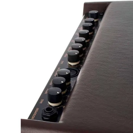 IBANEZ T30II TROUBADOUR Комбоусилитель для акустической гитары, 30 Вт, 8"