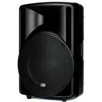 LEEM ABS-15 Акустическая система пассивная, 15"+1.75", 8/4 Ом, 300 Вт (RMS)/ 1000 Вт (пик)