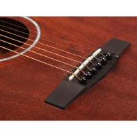 Cort AF510M W_BAG OP Cort AF510M W_BAG OP