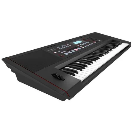 Roland E-X50 Синтезатор с автоаккомпанементом, 61 клавиша