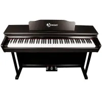 SOLISTA DP200RW Фортепиано цифровое, цвет палисандр SOLISTA DP200RW Фортепиано цифровое, цвет палисандр