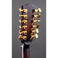 MIG Guitars SG2SAD23 Гитара электроакустическая Silent SG2, 12-струнная